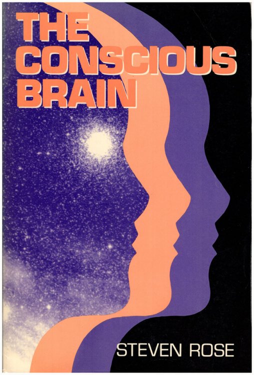 Image for The Conscious Brain (Revised edition) The Conscious Brain (Revised edition)