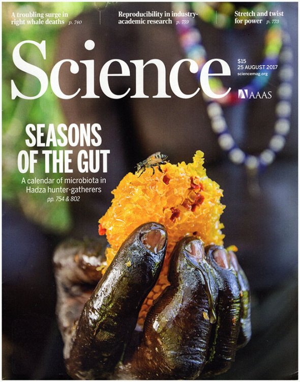 Image for Science Magazine (Volume 357, 6353, 25 August 2017) Science Magazine (Volume 357, 6353, 25 August 2017)