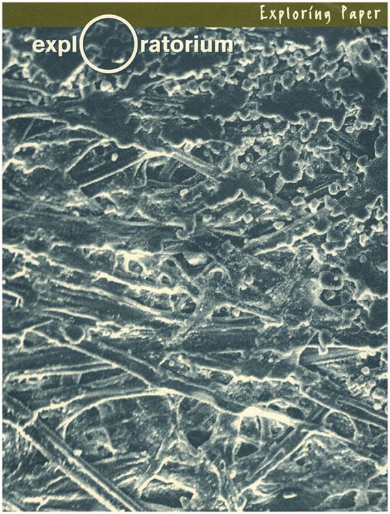 Image for Exploring Paper (Exploratorium Magazine, Vol 25 No 2, Summer 1999) Exploring Paper (Exploratorium Magazine, Vol 25 No 2, Summer 1999)