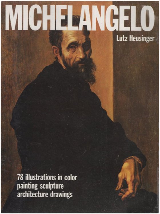 Image for Michelangelo Michelangelo
