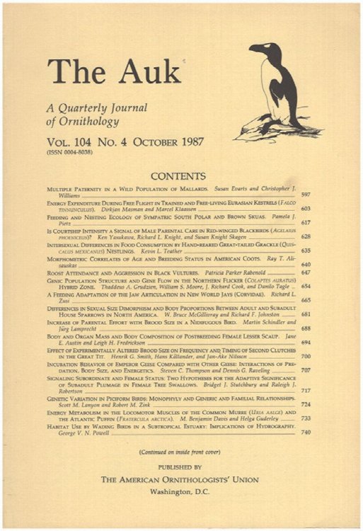 Image for The Auk (Vol. 104, No 4, October 1987) The Auk (Vol. 104, No 4, October 1987)
