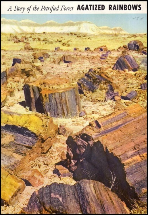 Image for Agatized Rainbows: A Story of the Petrified Forest (Popular Series No. 3) Agatized Rainbows: A Story of the Petrified Forest (Popular Series No. 3)