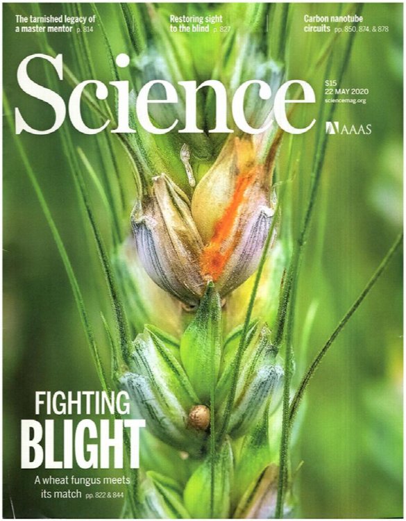 Image for Science Magazine (Vol 368, No. 6493, 22 May 2020) Science Magazine (Vol 368, No. 6493, 22 May 2020)