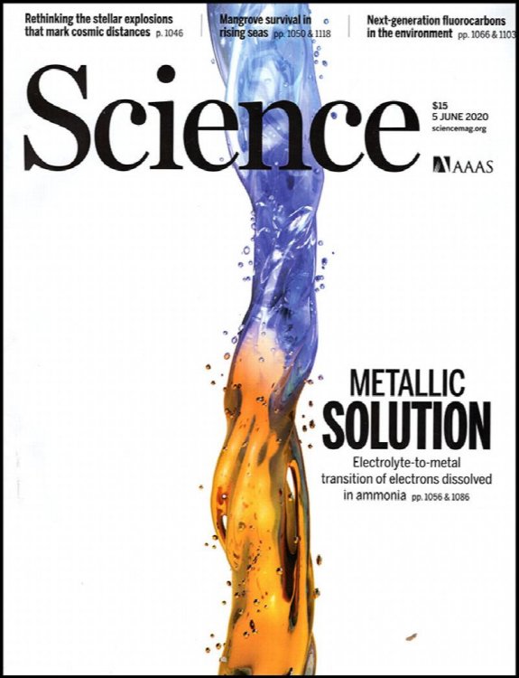 Image for Science Magazine (Vol 368, No. 6495, 5 June 2020) Science Magazine (Vol 368, No. 6495, 5 June 2020)