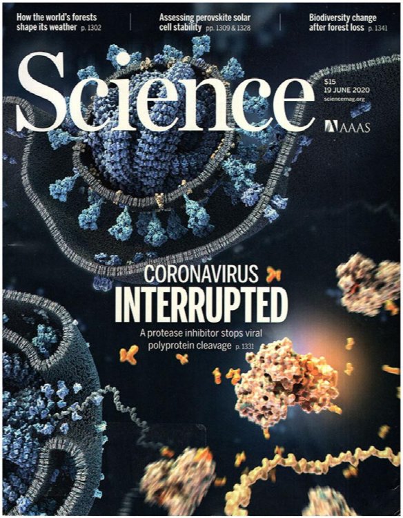 Image for Science Magazine (Vol 368, No. 6497, 19 June 2020) Science Magazine (Vol 368, No. 6497, 19 June 2020)