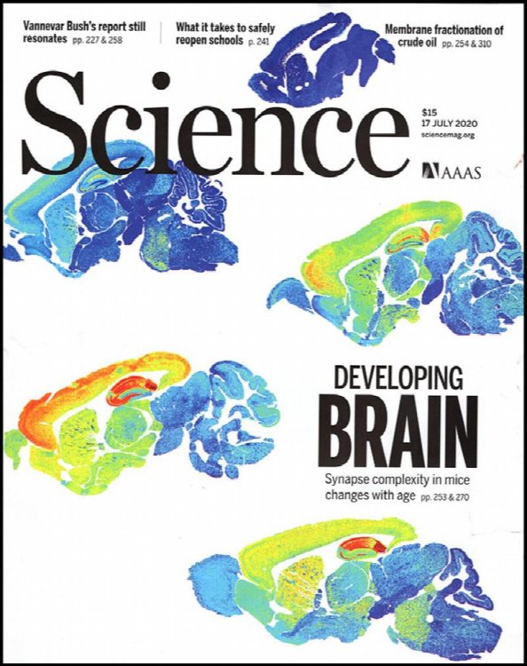 Image for Science Magazine (Vol 369, No. 6501, 17 July 2020) Science Magazine (Vol 369, No. 6501, 17 July 2020)