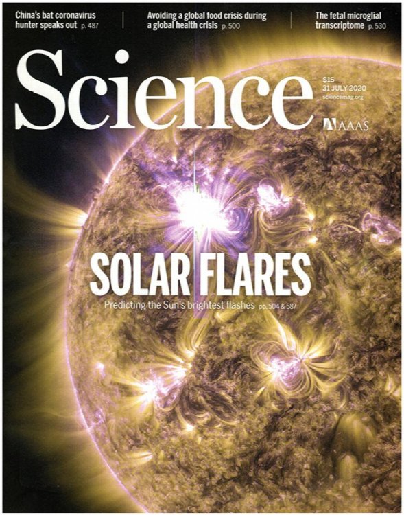 Image for Science Magazine (Vol 369, No. 6503, 31 July 2020) Science Magazine (Vol 369, No. 6503, 31 July 2020)