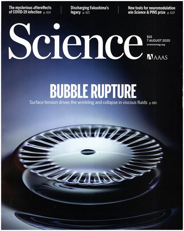 Image for Science Magazine (Vol 369, No. 6504, 7 August 2020) Science Magazine (Vol 369, No. 6504, 7 August 2020)