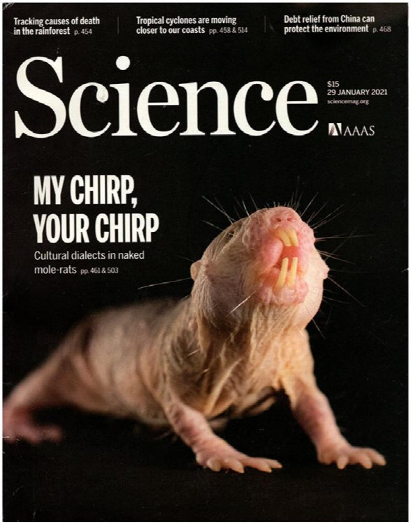 Image for Science Magazine (29 January 2021, Vol 371, No. 6528) Science Magazine (29 January 2021, Vol 371, No. 6528)