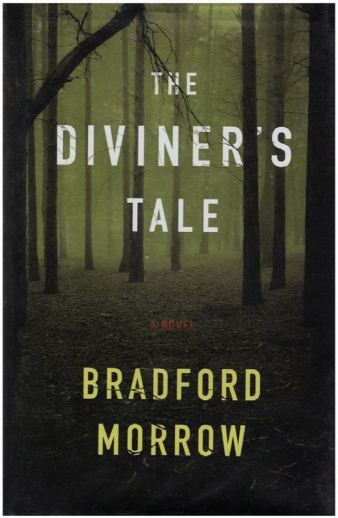 Image for The Diviner's Tale: A Novel The Diviner's Tale: A Novel