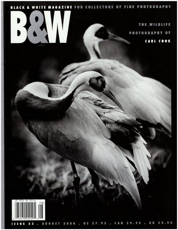 Image for Black and White Magazine: Wildlife Photography of Carl Cook (Issue 32, August 2004) Black and White Magazine: Wildlife Photography of Carl Cook (Issue 32, August 2004)