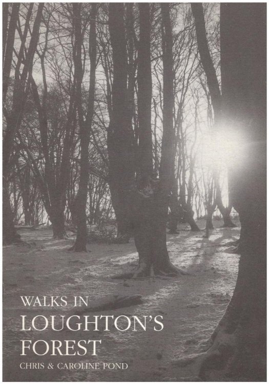 Image for Walks in Loughton's Forest Walks in Loughton's Forest
