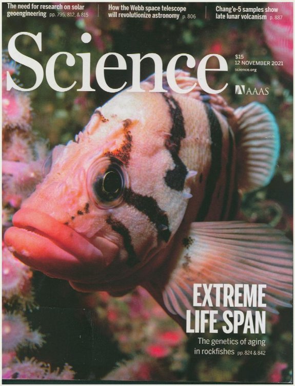 Image for Science Magazine: Extreme Life Span: The genetics of aging in rockfishes (21 November 2021, Vol 374, No 6569) Science Magazine: Extreme Life Span: The genetics of aging in rockfishes (21 November 2021, Vol 374, No 6569)