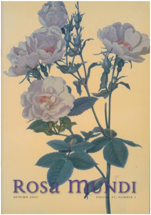 Rosa Mundi (Autumn 2007, Vol 22, No 1)