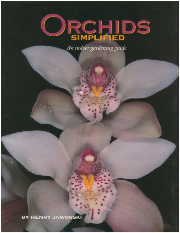 Orchids Simplified: An Indoor Gardening Guide