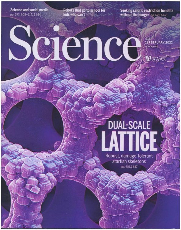 Image for Science Magazine: Dual-Scale Lattice (11 February 2011, Vol 375, No 6581) Science Magazine: Dual-Scale Lattice (11 February 2011, Vol 375, No 6581)