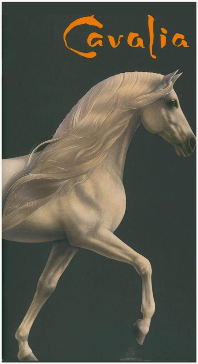 Image for Cavalia Cavalia