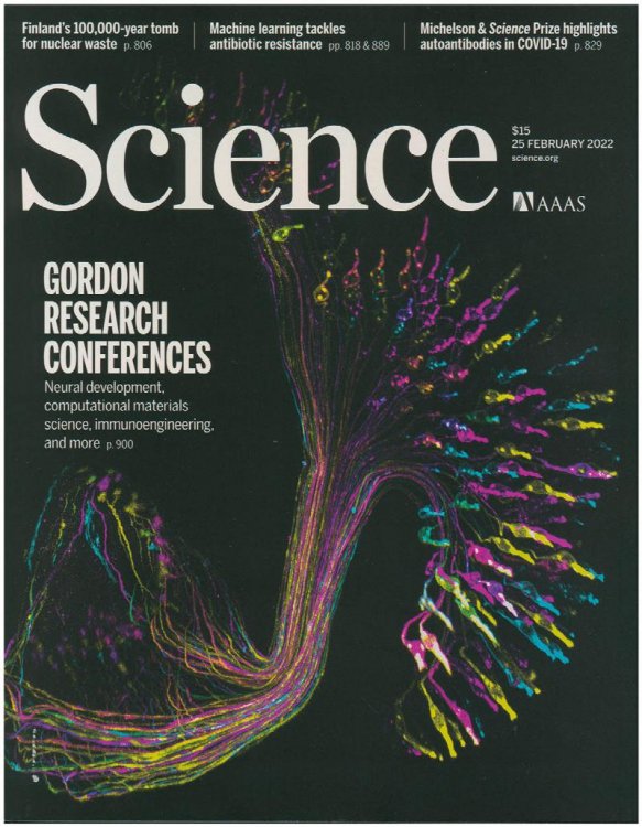 Image for Science Magazine: Gordon Research Conferences (25 February 2022, Vol. 375, No. 6583) Science Magazine: Gordon Research Conferences (25 February 2022, Vol. 375, No. 6583)