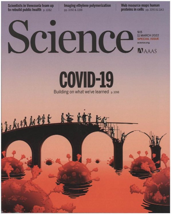 Image for Science Magazine: COVID-19 (11 March 2022) Science Magazine: COVID-19 (11 March 2022)