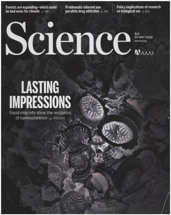 Image for Science Magazine: Fossil Imprints (20 May 2022) Science Magazine: Fossil Imprints (20 May 2022)
