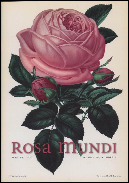 Image for Rosa Mundi (Winter 2006, Vol 20, No 2) Rosa Mundi (Winter 2006, Vol 20, No 2)