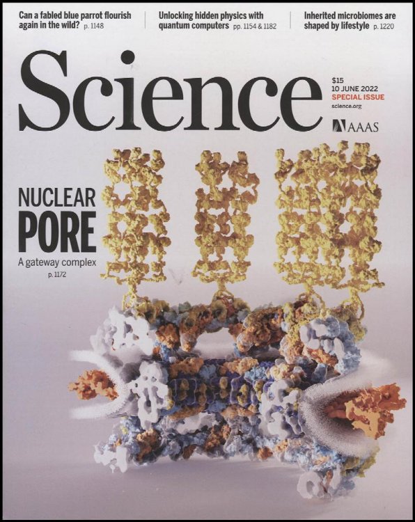 Image for Science Magazine: Nuclear Pore: A Gateway Complex (10 June 2022) Science Magazine: Nuclear Pore: A Gateway Complex (10 June 2022)