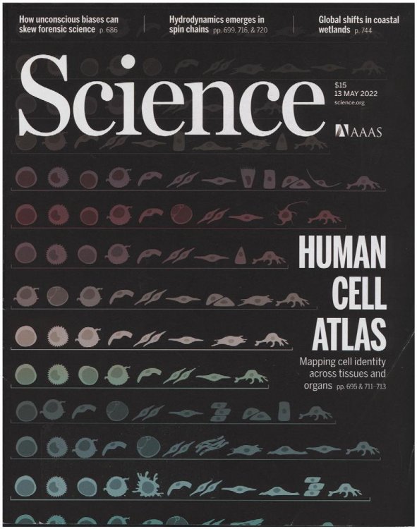 Image for Science Magazine: Features Human Cell Atlas (12 May 2022) Science Magazine: Features Human Cell Atlas (12 May 2022)