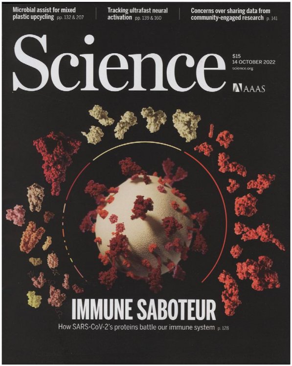 Image for Science Magazine: Features How SARS-CoV-2's Proteins Battle Our Immune System (14 October 2022) Science Magazine: Features How SARS-CoV-2's Proteins Battle Our Immune System (14 October 2022)