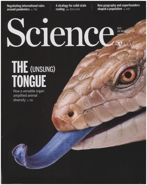 Image for Science Magazine: The (Unsung) Tongue (26 May 2023, Vol 380, No. 6647) Science Magazine: The (Unsung) Tongue (26 May 2023, Vol 380, No. 6647)