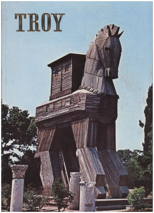Image for Troy Troy