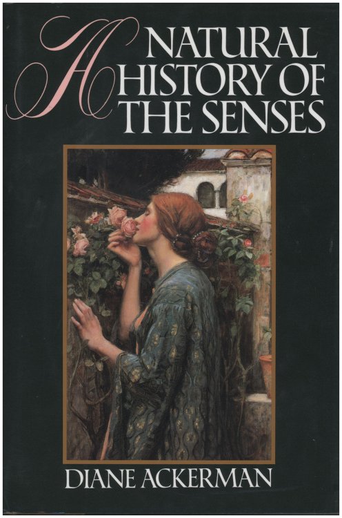 Image for A Natural History of the Senses A Natural History of the Senses