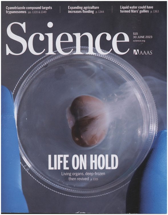 Image for Science Magazine: Cryopreservation (30 June 2023, ) Science Magazine: Cryopreservation (30 June 2023, )