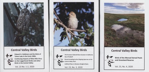Image for Central Valley Birds (Volume 23, 1-4, 2020) Central Valley Birds (Volume 23, 1-4, 2020)