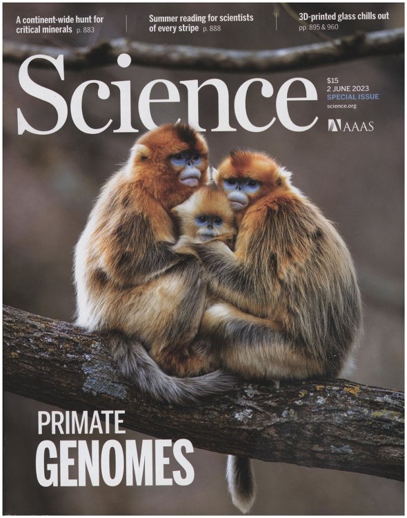 Image for Science Magazine: Primate Genomes (2 June 2023) Science Magazine: Primate Genomes (2 June 2023)