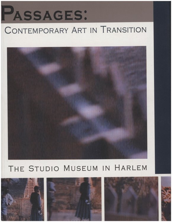Image for Passages: Contemporary Art in Transition Passages: Contemporary Art in Transition