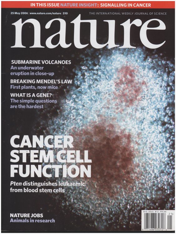 Image for Nature: The International Weekly Journal of Science (15 May 2006, Vol 441.) Nature: The International Weekly Journal of Science (15 May 2006, Vol 441.)