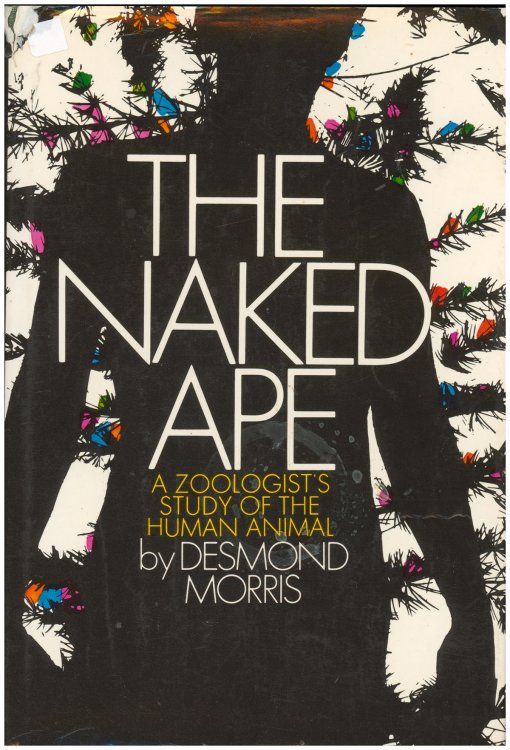 Image for Naked Ape: A Zoologist's Study of the Human Animal Naked Ape: A Zoologist's Study of the Human Animal