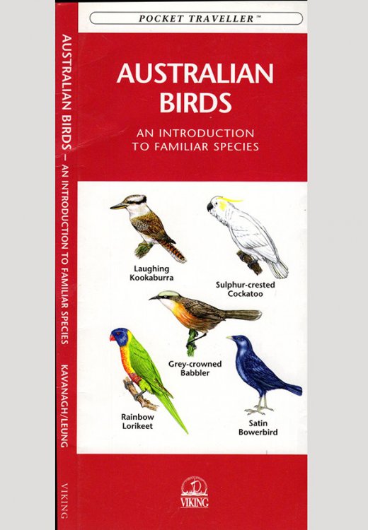 Image for Australian Birds: Pocket Naturalist Series Australian Birds: Pocket Naturalist Series