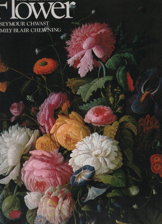 Image for THE ILLUSTRATED FLOWER Text by Emily Blair Chewning; Designed by Seymour Chwast; Compiled by J C Suares; Edited by William E Maloney THE ILLUSTRATED FLOWER Text by Emily Blair Chewning; Designed by Seymour Chwast; Compiled by J C Suares; Edited by William E Maloney