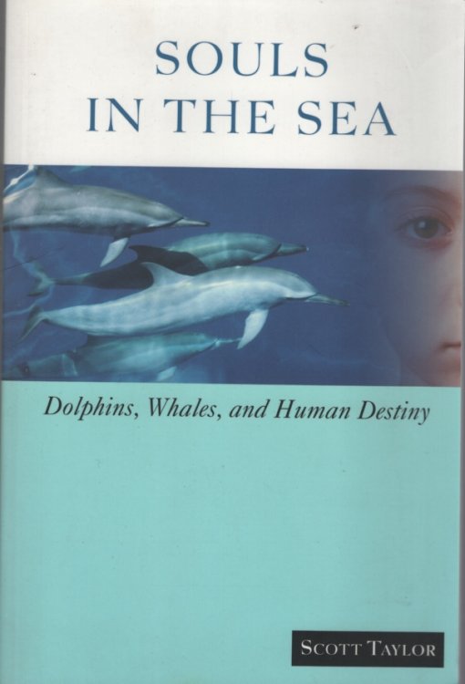 Image for SOULS IN THE SEA Dolphins, Whales, and Human Destiny SOULS IN THE SEA Dolphins, Whales, and Human Destiny