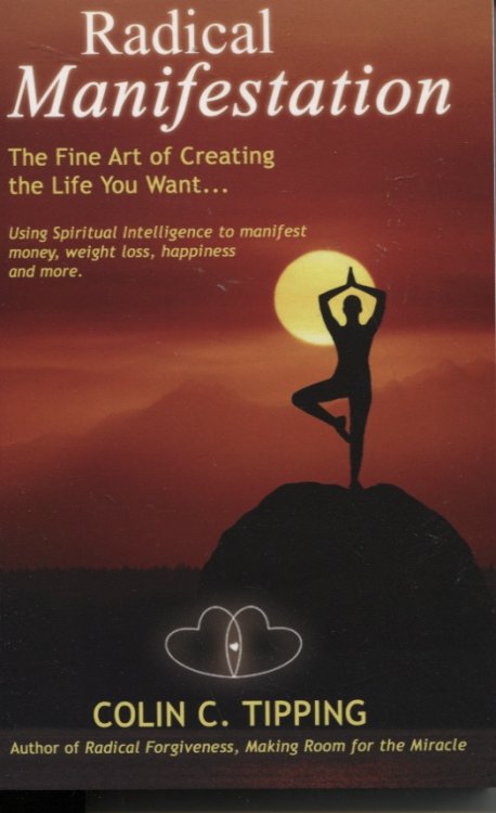 Image for RADICAL MANIFESTATION The Fine Art of Creating the Life You Want RADICAL MANIFESTATION The Fine Art of Creating the Life You Want
