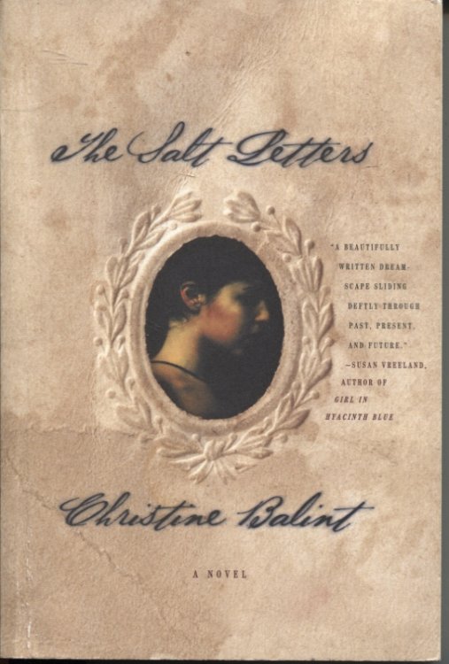 Image for The Salt Letters A Novel The Salt Letters A Novel