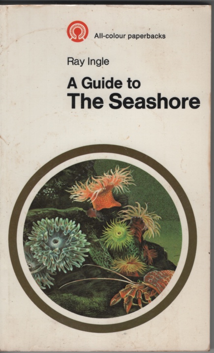 Image for A GUIDE TO THE SEASHORE A GUIDE TO THE SEASHORE