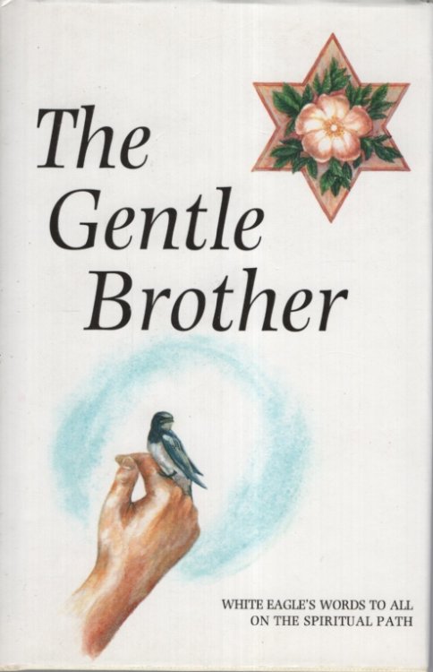 Image for The Gentle Brother The Gentle Brother