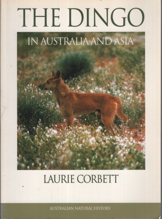 Image for The Dingo in Australia and Asia The Dingo in Australia and Asia