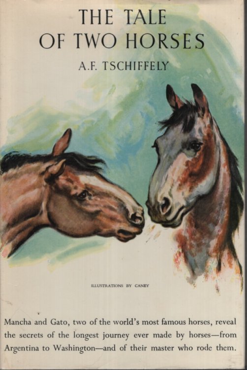 Tale of Two Horses