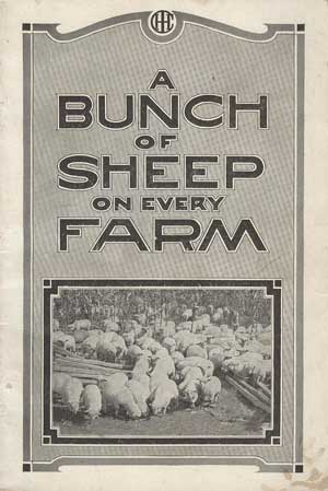 Image for A Bunch of Sheep on Every Farm A Bunch of Sheep on Every Farm