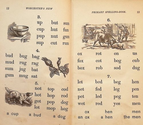 Image for A Primary Spelling-Book of the English Language A Primary Spelling-Book of the English Language