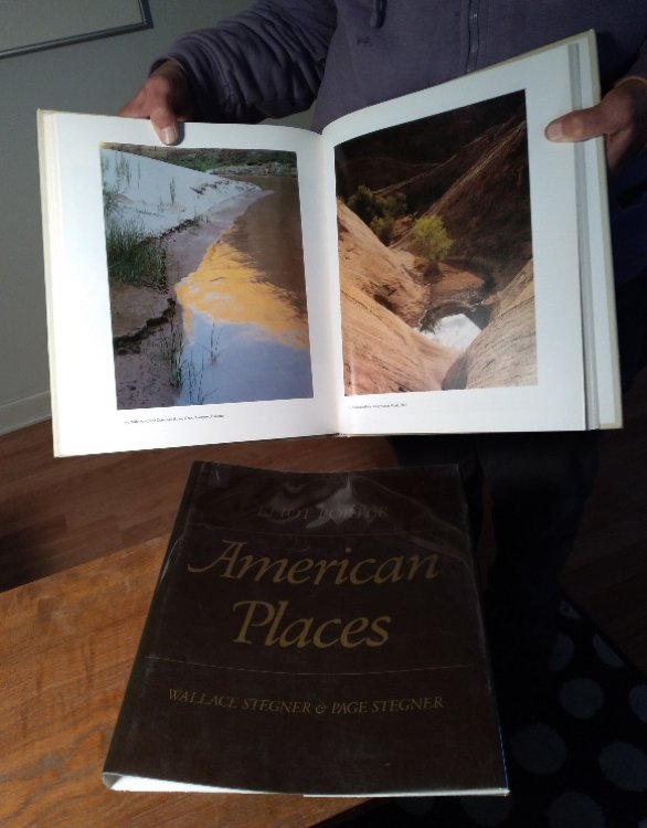 Image for American Places American Places