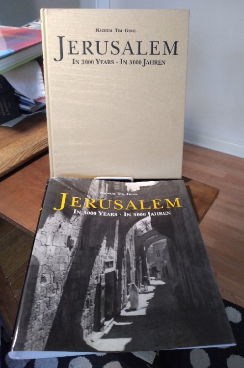 Image for Jerusalem: in 3000 Years / n 3000 jahren Jerusalem: in 3000 Years / n 3000 jahren
